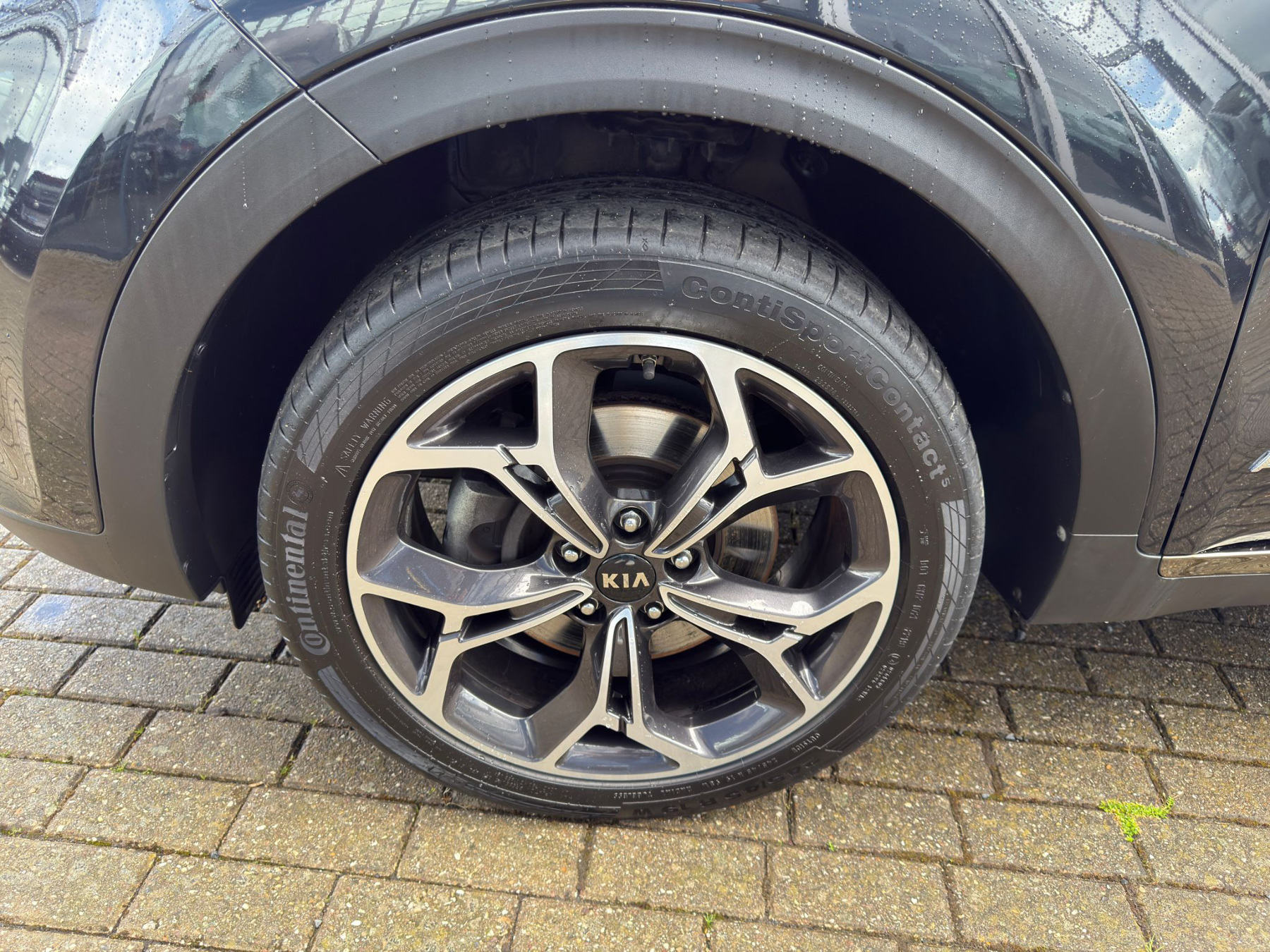 Foto 1 - Kia Sportage 1.6T AWD GT Navi SHZ LHZ AHK Kamera, Zilinaschwarz (Schwarz)